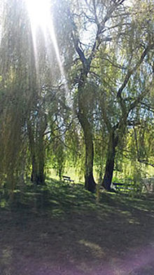Naturheilpraxis Karin Suhrbier in Rostock